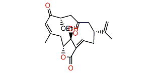 1-epi-Leptocladolide A